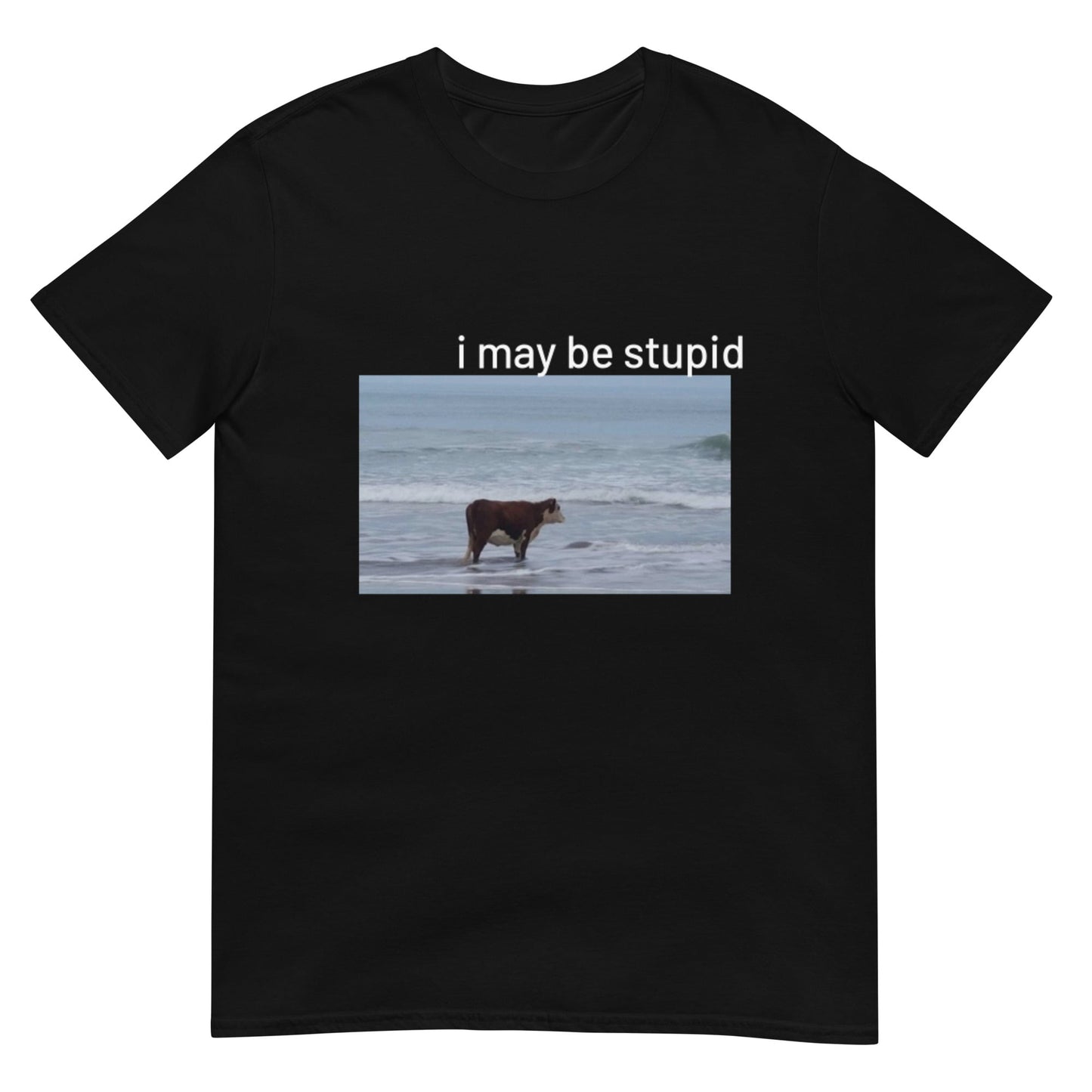 I May Be Stupid Cow on Beach Funny Meme Unisex T-Shirt
