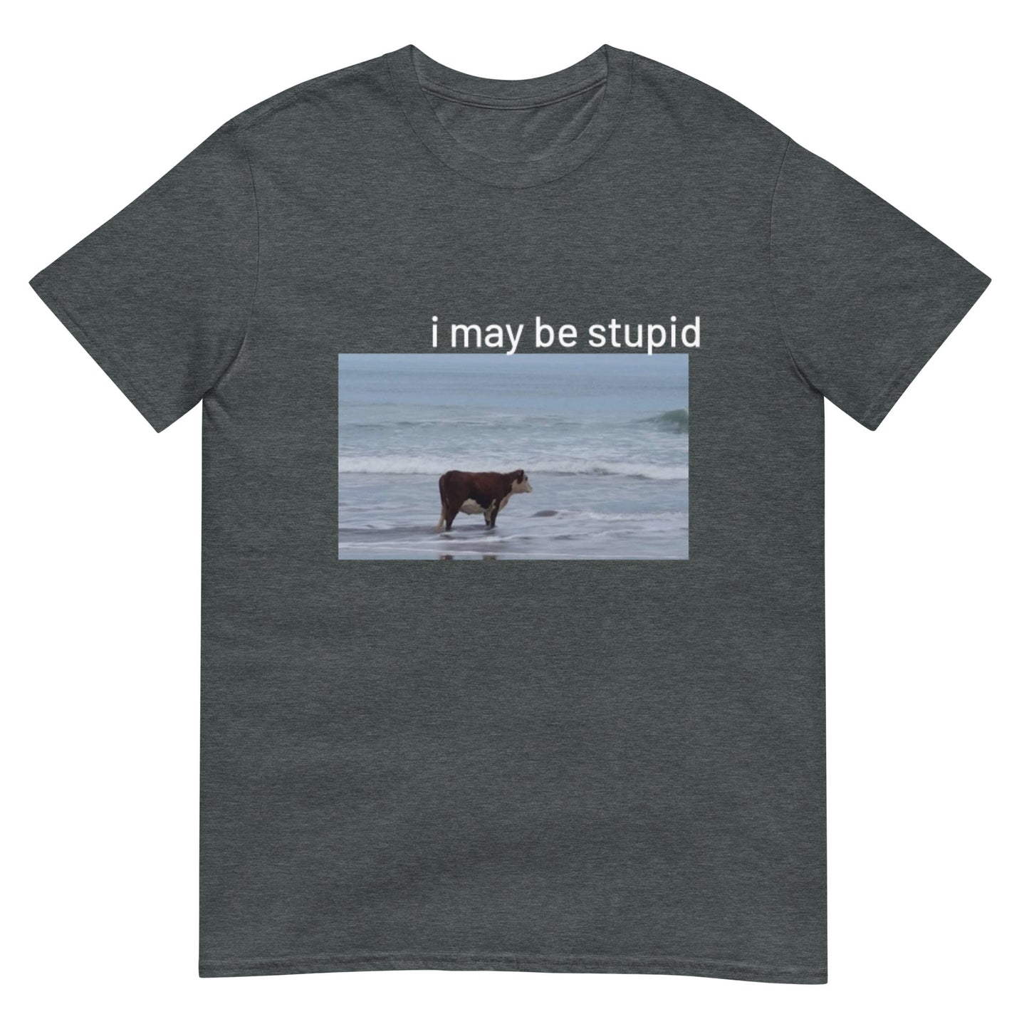 I May Be Stupid Cow on Beach Funny Meme Unisex T-Shirt