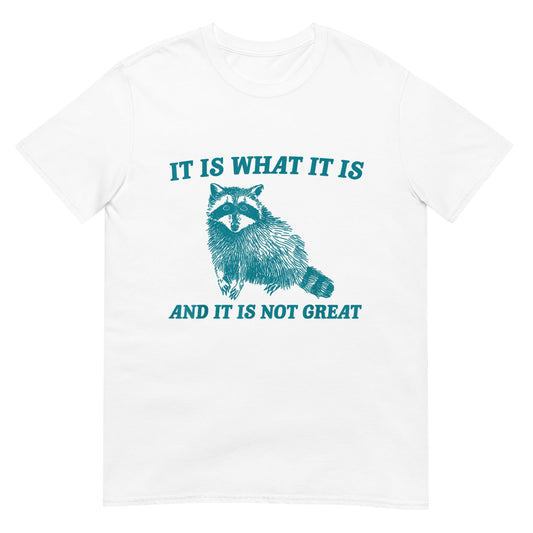 It Is What It Is And It Is Not Great T-Shirt