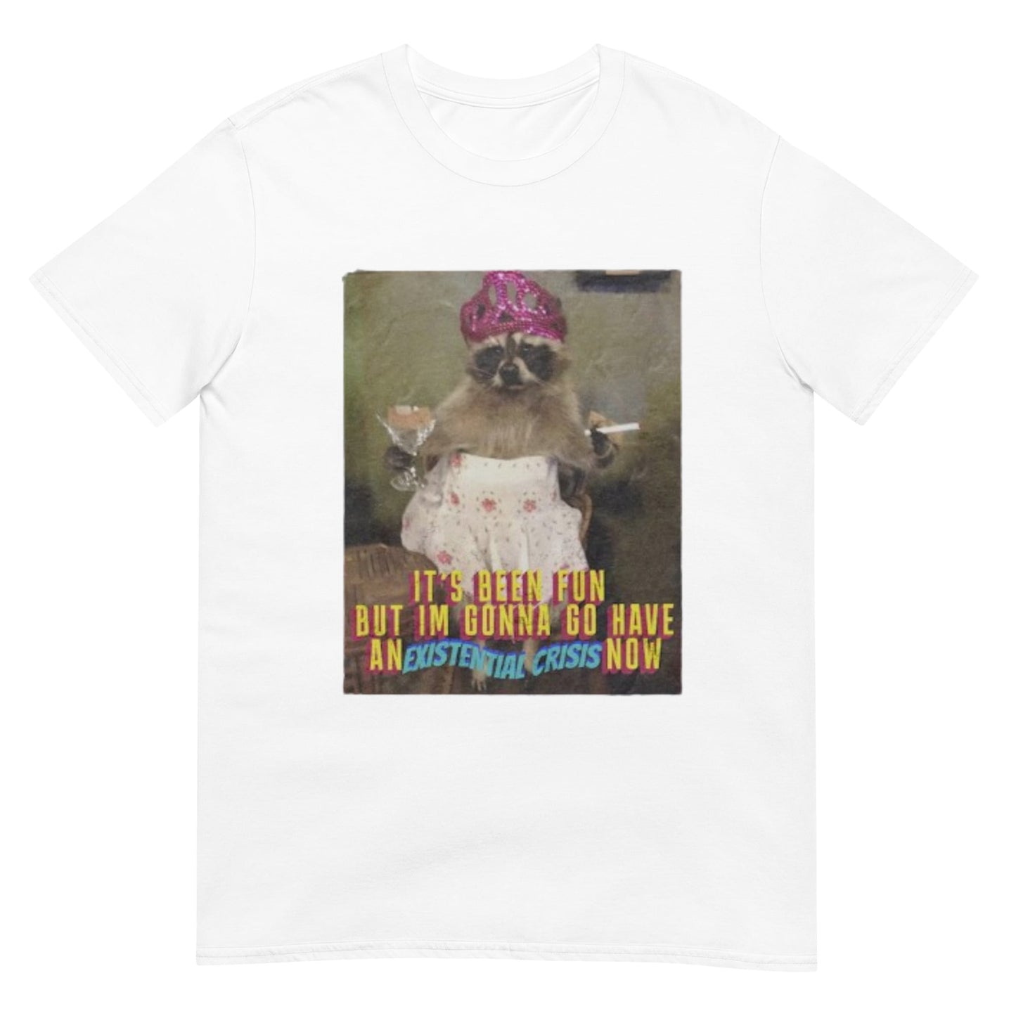 Raccoon Shirt