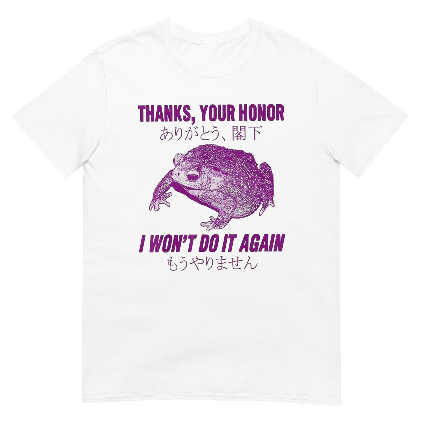 I won't do it again Shirt
