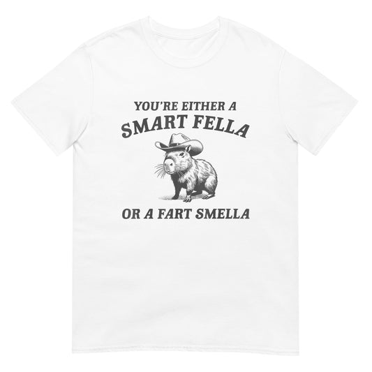 Are You A Smart Fella Or Fart Smella Shirt