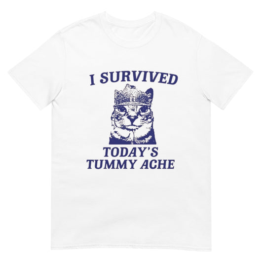 I survived today's tummy ache Shirt