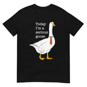 Today I'm A Serious Goose Comfort Colors Shirt