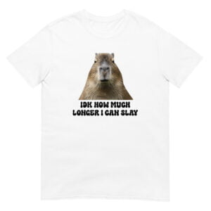 IDK How Much Longer I Can Slay Shirt