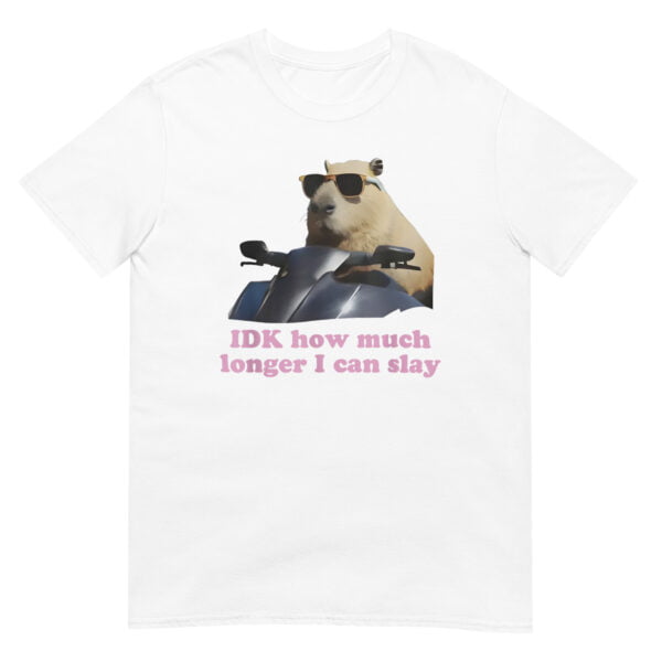 IDK How much longer I can slay Shirt - Image 3